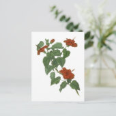 Hibiscus Flower Botanical Drawing Briefkaart (Staand voorkant)
