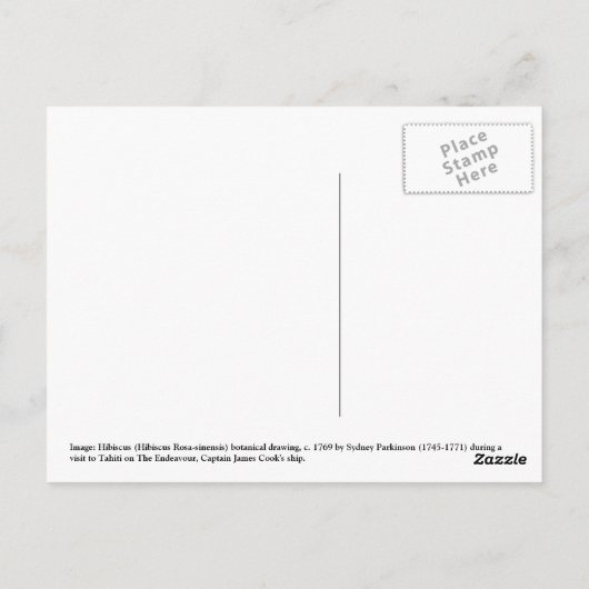 Hibiscus Flower Botanical Drawing Briefkaart (Achterkant)