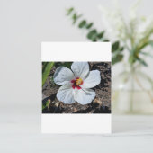 Hibiscus Flower Briefkaart (Staand voorkant)