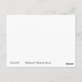 Hibiscus Flower Briefkaart (Achterkant)