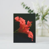 Hibiscus Flower Briefkaart (Staand voorkant)