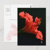 Hibiscus Flower Briefkaart (Voorkant / Achterkant)