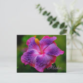 Hibiscus Flower Briefkaart (Staand voorkant)