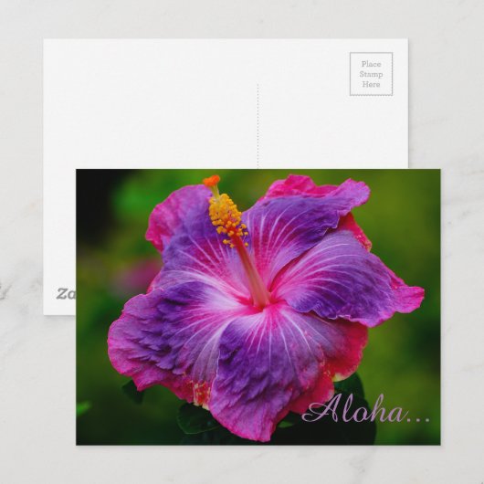 Hibiscus Flower Briefkaart (Voorkant / Achterkant)