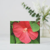 Hibiscus Flower Bright Magenta Floral Briefkaart (Staand voorkant)