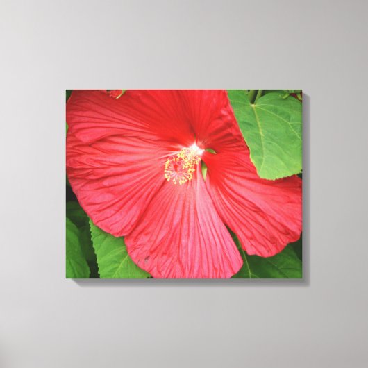 Hibiscus Flower Bright Magenta Floral Canvas Afdruk (Voorkant)