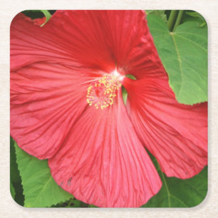 Hibiscus Flower Bright Magenta Floral Kartonnen Onderzetters