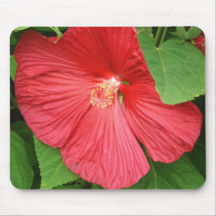 Hibiscus Flower Bright Magenta Floral Muismat