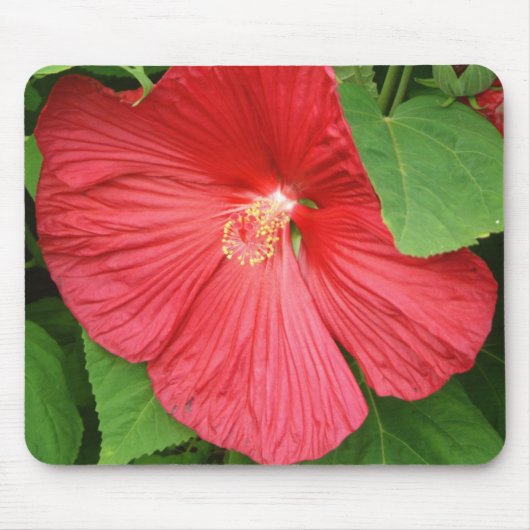 Hibiscus Flower Bright Magenta Floral Muismat (Voorkant)