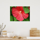 Hibiscus Flower Bright Magenta Floral Poster (Keuken)