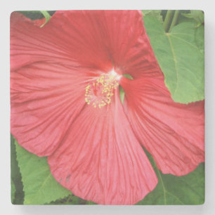 Hibiscus Flower Bright Magenta Floral Stenen Onderzetter