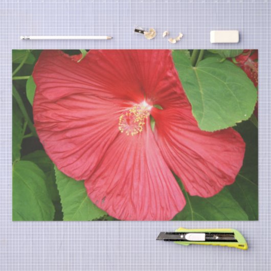 Hibiscus Flower Bright Magenta Floral Tissuepapier (Craft)