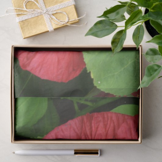 Hibiscus Flower Bright Magenta Floral Tissuepapier (Geschenk)