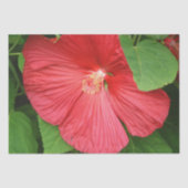 Hibiscus Flower Bright Magenta Floral Tissuepapier (Voorkant)