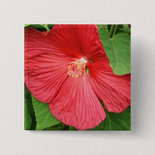 Hibiscus Flower Bright Magenta Floral Vierkante Button 5,1 Cm (Voorkant)
