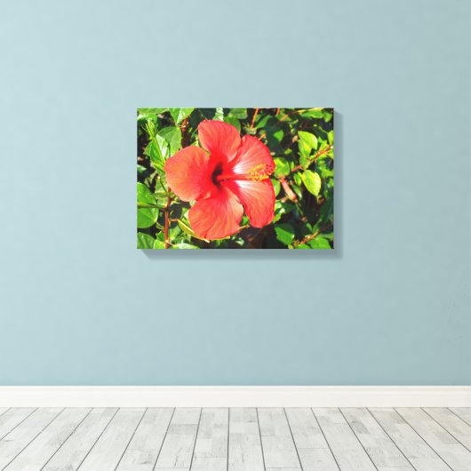Hibiscus flower canvas afdruk (Insitu (Houten vloer))