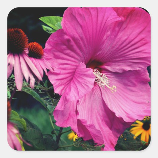 Hibiscus flower en Friends Vierkante Sticker (Voorkant)