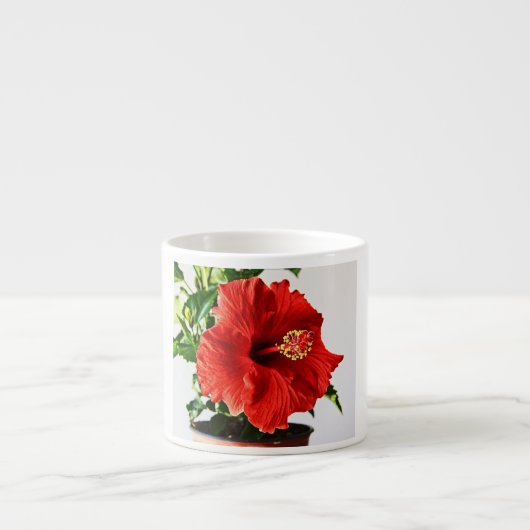 Hibiscus Flower Espresso Kop (Voorkant)
