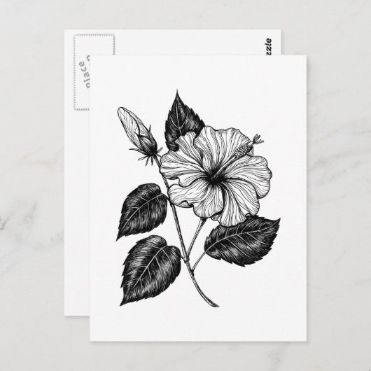 Hibiscus flower II Briefkaart (Voorkant / Achterkant)