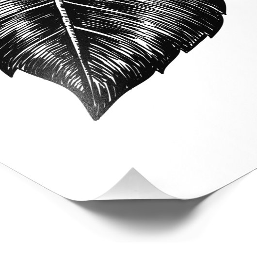 Hibiscus flower II Foto Afdruk (Hoek)