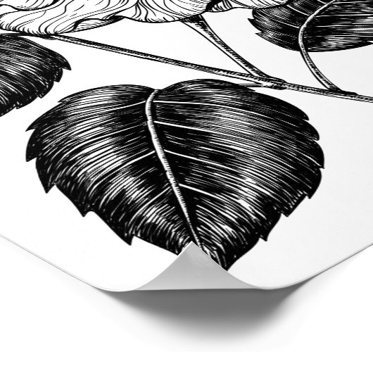 Hibiscus flower II Poster (Hoek)