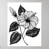 Hibiscus flower II Poster (Voorkant)
