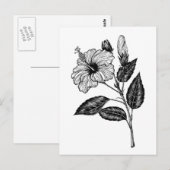 Hibiscus flower III Briefkaart (Voorkant / Achterkant)