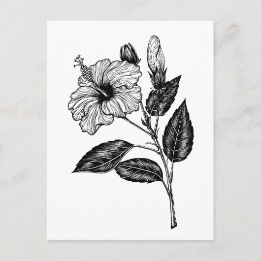 Hibiscus flower III Briefkaart (Voorkant)
