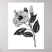Hibiscus flower III Poster (Voorkant)