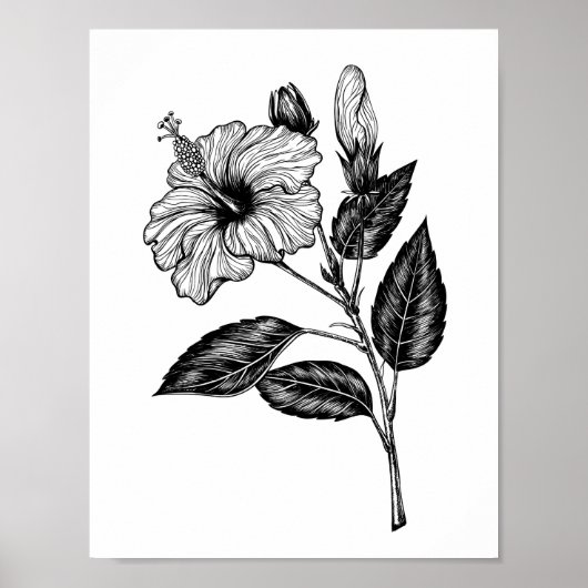 Hibiscus flower III Poster (Voorkant)