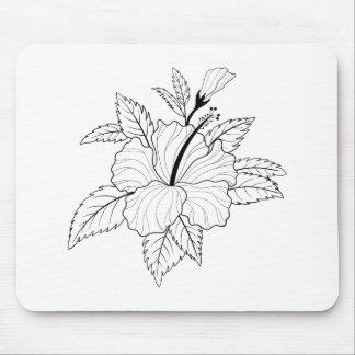 Hibiscus Flower Illustration Muismat