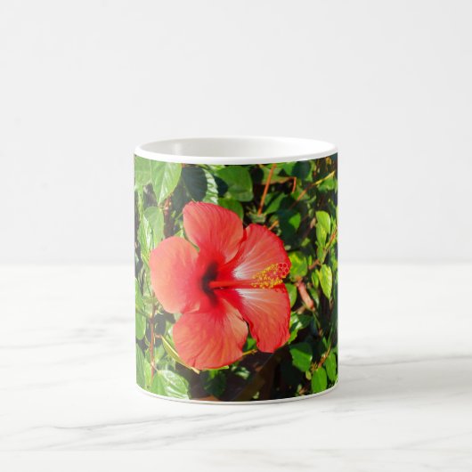 Hibiscus flower koffiemok (Center)