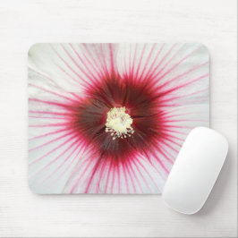 Hibiscus Flower Macro Muismat