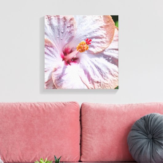 Hibiscus Flower met Dew Canvas Afdruk (Insitu (Woonkamer))