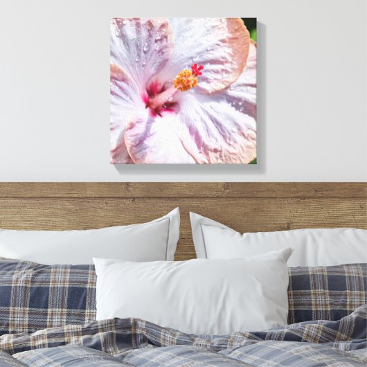 Hibiscus Flower met Dew Canvas Afdruk (Insitu (Slaapkamer))