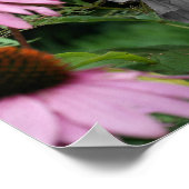 Hibiscus Flower Partial Color Poster (Hoek)