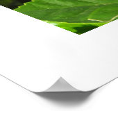 Hibiscus flower poster (Hoek)