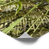 Hibiscus Flower Poster @3dudes1life (Hoek)