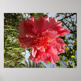 Hibiscus Flower Poster @3dudes1life