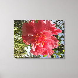 Hibiscus Flower Print @3dudes1life