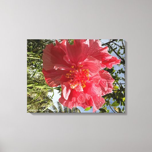 Hibiscus Flower Print @3dudes1life (Voorkant)