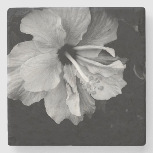 Hibiscus flower stenen onderzetter (Voorkant)