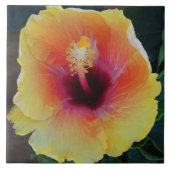 Hibiscus Flower Tegel Tegeltje (Voorkant)