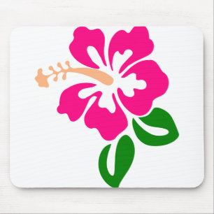 Hibiscus Flower Tropic Bloom Blossom Botanisch Muismat