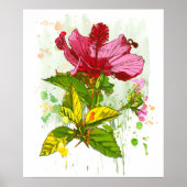 Hibiscus flower - waterverf verf 2 poster (Voorkant)