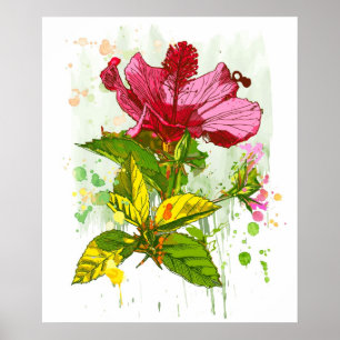 Hibiscus flower - waterverf verf 2 poster
