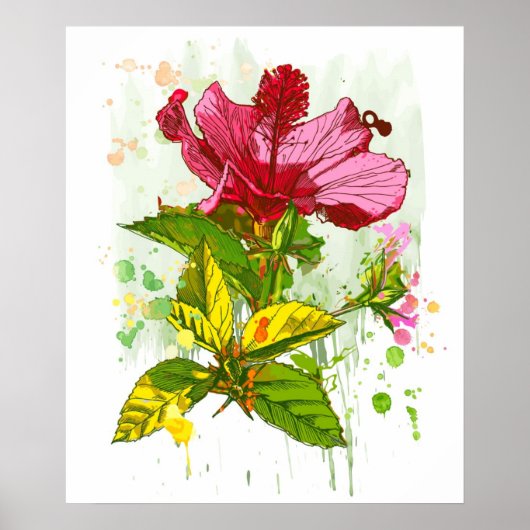 Hibiscus flower - waterverf verf 2 poster (Voorkant)