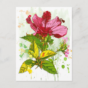 Hibiscus flower - waterverf verf briefkaart