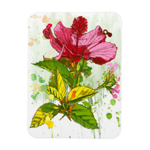 Hibiscus flower - waterverf verf magneet