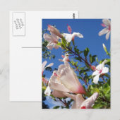 Hibiscus Flowers Briefkaart (Voorkant / Achterkant)